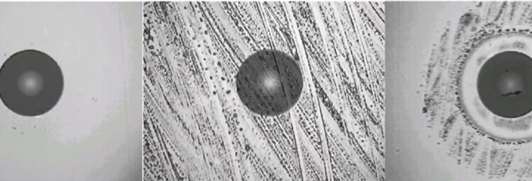 A Importância da Limpeza dos Conectores Ópticos